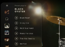 XLN Audio Black Oyster